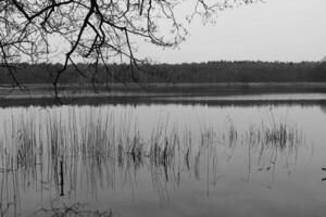 Natur Hintergrund Foto