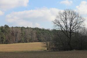 Natur Hintergrund Foto