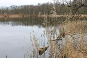 Natur Hintergrund Foto