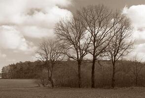 Natur Hintergrund Foto