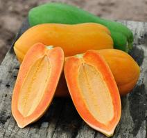 gelbe Papaya im Garten foto