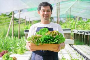 ökologischer Landbau, Salatfarm. Bauern ernten Salatgemüse in Holzkisten bei Regen. Hydrokultur-Gemüse wächst natürlich. Gewächshausgarten, ökologisch biologisch, gesund, vegetarisch, Ökologie foto