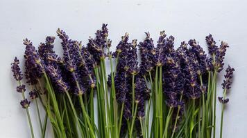 ai generiert Anzeige frisch Lavendel Blumen auf Weiß Hintergrund, Banner Kopieren Raum foto