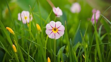 ai generiert abstrakt Natur Hintergrund Vitrinen schließen oben von Gras und Blume foto