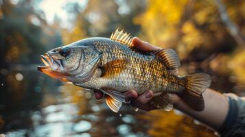 ai generiert Person halten ein Fisch schließen oben foto