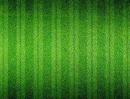 grünes Gras gesäumt foto