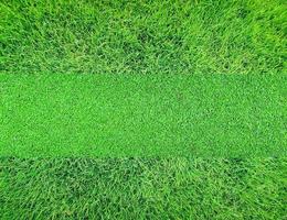Hintergrundbeschaffenheit des grünen Grases foto