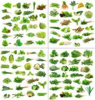 Gemüsesammlung isoliert auf weißem Hintergrund foto