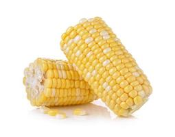 Mais auf weißem Hintergrund foto