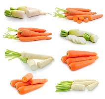 Radieschen und Karotten isoliert auf weißem Hintergrund foto