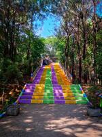 bunt Treppe und Bäume foto