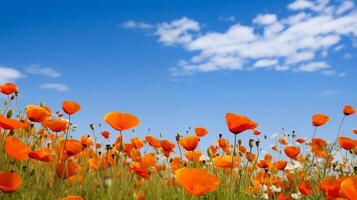 ai generiert Feld von Mohnblumen gegen ein Blau Himmel Hintergrund. selektiv Fokus foto