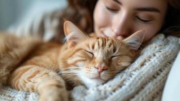 ai generiert Frau kuscheln Katze auf Runde foto