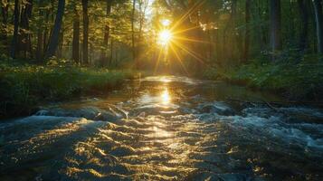 ai generiert Sonnenlicht Filtern durch Bäume auf Fluss foto