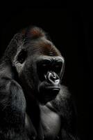 ai generiert Porträt Dominant männlich Gorilla auf schwarz hintergrund.generativ ai foto