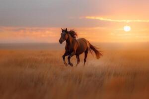 ai generiert Pferde galoppierend über ein Feld beim sonnenuntergang.generativ ai foto