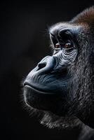ai generiert Porträt Dominant männlich Gorilla auf schwarz hintergrund.generativ ai foto