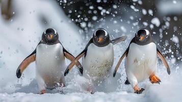 ai generiert Gruppe von Pinguine Gehen im das Schnee foto