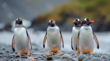 ai generiert Gruppe von Pinguine Stehen auf felsig Strand foto