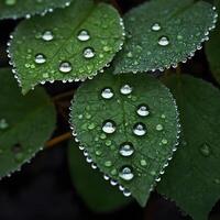 ai generiert frisch Tau Tropfen glitzernd auf beschwingt Grün Blätter im früh Morgen Licht foto