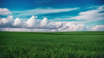 ai generiert endlos Grün Feld unter ein riesig Blau Himmel mit Wolken foto