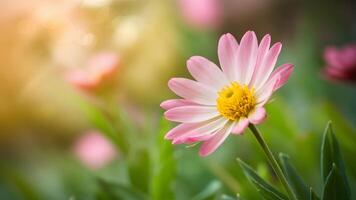 ai generiert schön Frühling Blume auf verträumt Fantasie verschwommen Bokeh Hintergrund foto