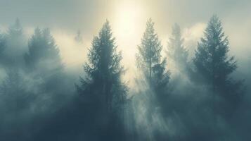 ai generiert ein minimalistisch fotografieren von ein neblig Wald, mit hoch Bäume Fading in das Nebel und Sanft foto