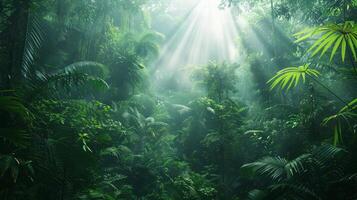 ai generiert ein tropisch Regenwald, charakterisiert durch hoch aufragend Bäume und dicht Grün foto