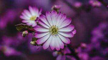 ai generiert blühen Grün Blütenblätter künstlerisch aus von Fokus Ultra violett foto