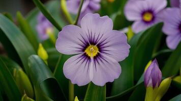 ai generiert detailliert violett Blume erfasst das Wesen von Federn Schönheit foto