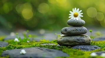 ai generiert Zen Steine mit Gänseblümchen im heiter Natur Rahmen foto