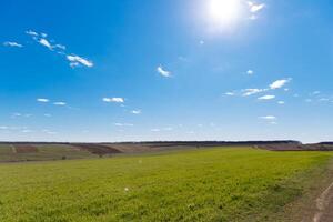 Frühling Gras Feld und Berge, schön Hintergrund, Grün Gras, schön Himmel Über das Feld foto