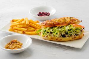 Hähnchen Cranberry Sandwich mit Salat und Französisch Fritten serviert im ein Gericht isoliert auf Hintergrund Seite Aussicht von Fast Food foto