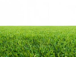 beschwingt Grün Gras auf sauber Weiß Hintergrund foto