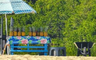 palmen sonnenschirme liegestühle strand wellen puerto escondido mexiko. foto