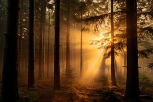 ai generiert golden Stunde Gießen ein magisch glühen auf das Wald. generativ ai foto