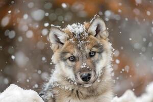 ai generiert eisig Baby Wolf im Schnee Natur. generieren ai foto