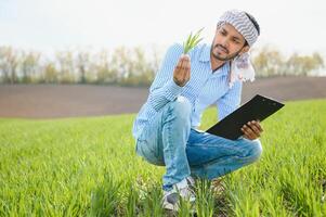 indisch Farmer im seine Weizen Feld foto