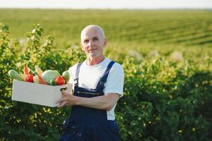 Senior Mann Heben Box voll von saisonal Gemüse. das Konzept von gesund Essen foto