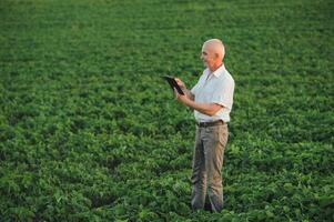 Agronom inspizieren Soja Bohne Pflanzen wachsend im das Bauernhof Feld. Landwirtschaft Produktion Konzept. jung Agronom untersucht Sojabohne Ernte auf Feld im Sommer. Farmer auf Sojabohne Feld foto