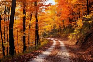 ai generiert ein heiter Wald Tal mit beschwingt Herbst Farben. generativ ai foto