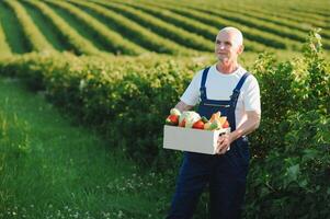 Senior Mann Heben Box voll von saisonal Gemüse. das Konzept von gesund Essen foto