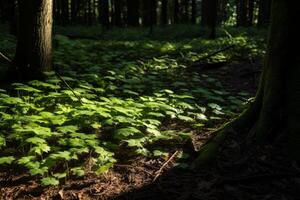 ai generiert ein abspielen von Schatten und Licht auf das Wald Boden. generativ ai foto