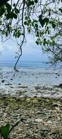 heiter Atoll tropisch Strand im Malediven Atoll mit Weiß Sand und Koralle Riff foto