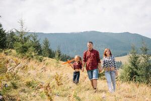 glücklich Vater und wenig Kind sind Gehen im das Berge. Vaters Tag. Ferien im das National Park foto