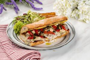 Farmer Marie cremig Sandwich mit Salat und Keile serviert im ein Gericht isoliert auf Tabelle Seite Aussicht von arabisch Fast Food foto