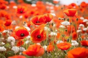 ai generiert ein Feld von wild Mohnblumen Erstellen ein beschwingt und fesselnd Hintergrund. generativ ai foto