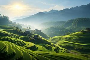 ai generiert heiter Landschaft Aussicht mit terrassiert Paddy Felder im variieren Stufen von Wachstum. generativ ai foto