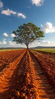 ai generiert Baum auf Schmutz Straße foto