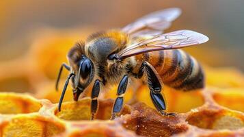 ai generiert Biene Sammeln Nektar auf Bienenwabe foto